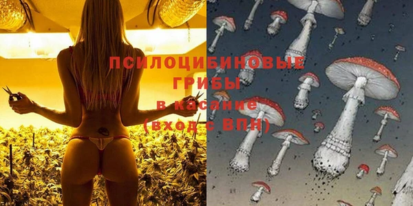 а пвп мука Баксан