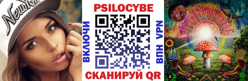 Галлюциногенные грибы Psilocybine cubensis  Куровское 
